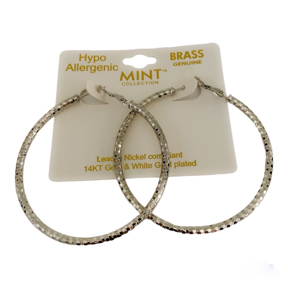 Fashion Hoop Earrings